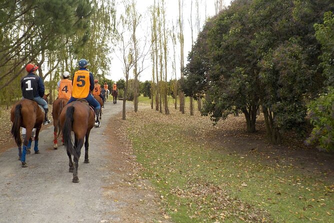 Horseback Riding Tour and Asado in Argentine Countryside - Schedule and Pickup Details