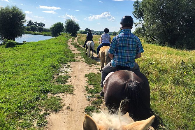 Horseback Riding Tour In Brasov - Ride Through Fields, Forests & Hills - Inclusions and Pricing