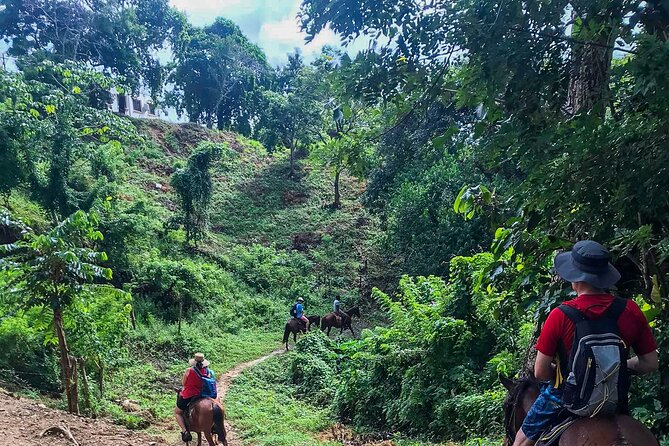 Horseback Riding Trail Tour, Roatan Letters and Ocean in Flowers Bay - Itinerary and Highlights
