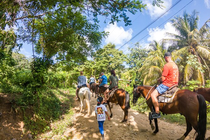 Horseback Riding + West End + Choco Factory + West Bay Day Pass @ Paradise Beach - Chocolate Factory Tour and Tasting