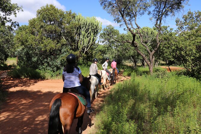 Horseback Safari Adventure in Hartbeespoort From Johannesburg - Inclusions and Amenities