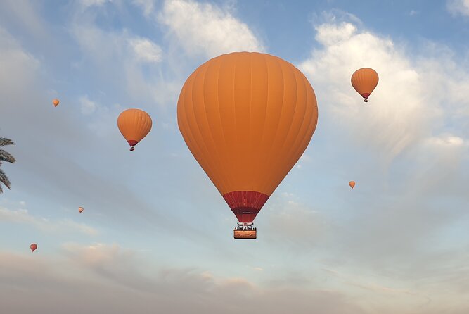 Hot Air Ballooning With Camel Ride and Paragliding - Camel Riding Adventure