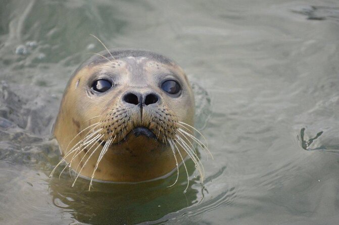 Hunstanton SEA LIFE Sanctuary General Admission Ticket - Location and Accessibility