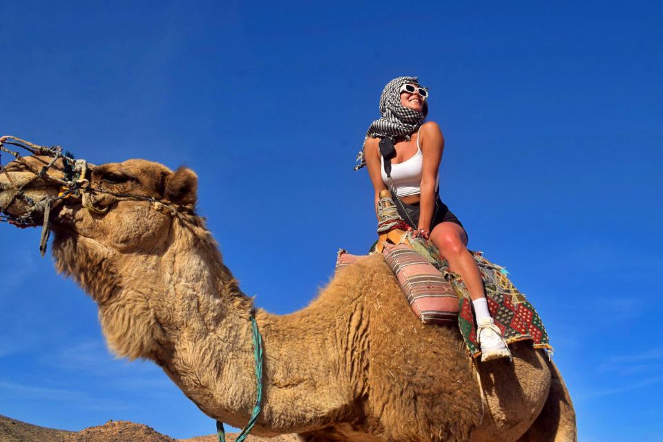 Hurghada: Desert Quad, Bedouin Village, and Camel Ride Tour - Quad Bike Adventure