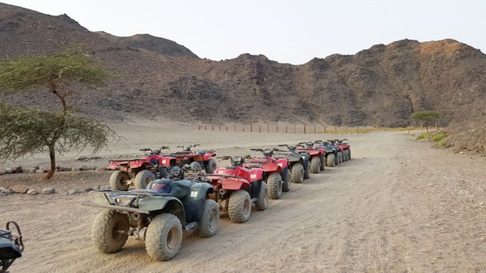 Hurghada Desert Safari: Quad Biking & Bedouin Village Visit. - Quad Biking Adventure