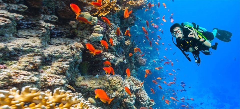 Hurghada: Diving & Snorkeling Cruise Tour W Lunch & Drinks - Experience Highlights