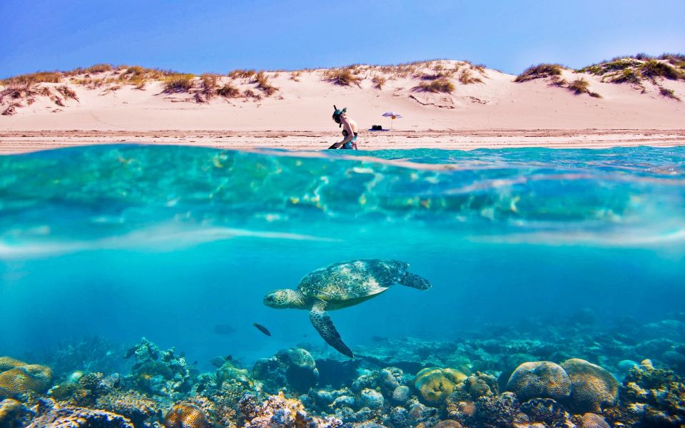 Hurghada: Giftun Island Tour With Snorkeling & Buffet Lunch - Itinerary and Experience