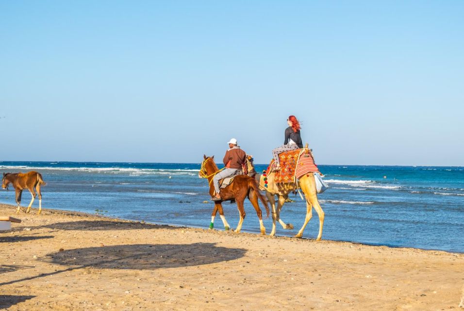 Hurghada: Horse Ride Along the Sea & Desert With Transfers - Itinerary and Transportation