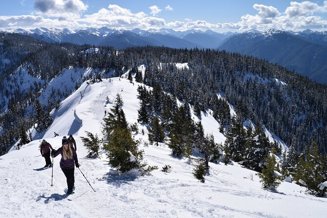 Hurricane Ridge Guided Snowshoe Tour in Olympic National Park - Meeting Information