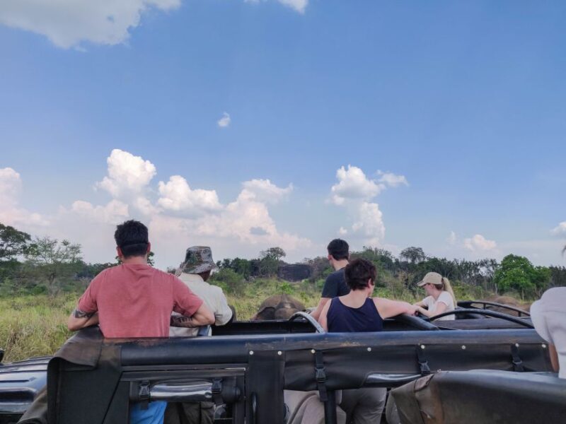 Hurulu Eco Park: 3-Hour Morning or Evening Safari - Exploring the Wilderness