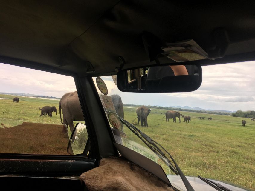 Hurulu National Park Safari Minneriya - Diverse Ecosystems and Wildlife