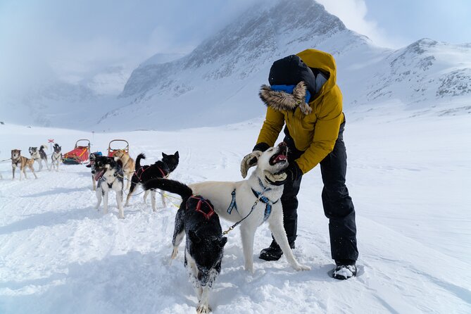Husky Sledding Tour - Booking Issues Assistance
