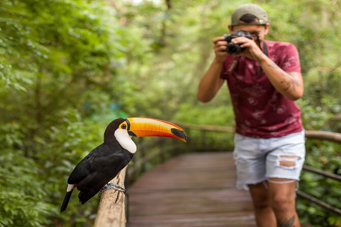 Iguazu Falls Brazilian Side & Bird Park From Puerto Iguazu - Iguazu Falls Tour Details