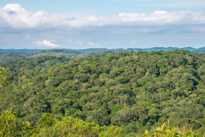 Immersion In An Untouched Ecosystem – Adventurous Full Day Hiking Tour - Discovering Unique Flora and Fauna