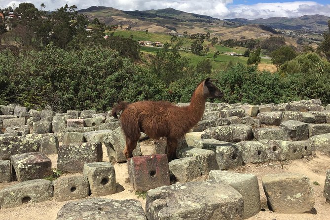 Ingapirca Inca Ruins Cultural Day Trip From Cuenca - Itinerary Highlights