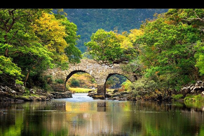 Innisfallen Island - Enjoy the Scenery & History of the Lakes of Killarney. - Exploring Innisfallen Island