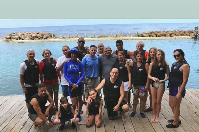 Interactive Dolphin Experience - Inclusions