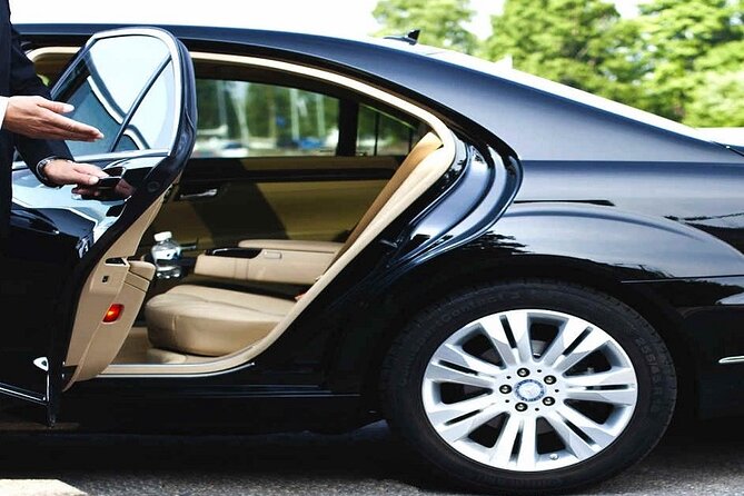 International Airport VIP Service(Expedited Arrival)& Free Transfer - No Waiting - Included Features