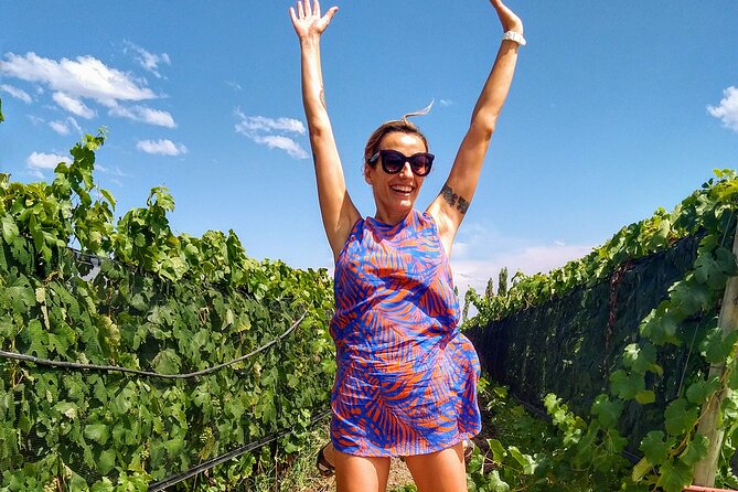 Intimate Wine Tour With Wine Pairing Lunch - Included Experiences