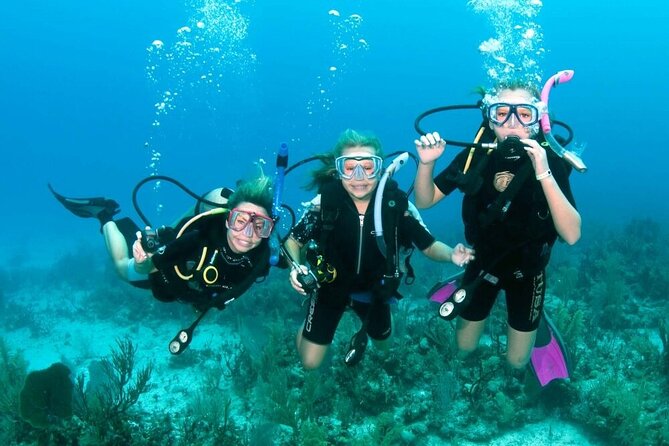 Intro Diving for Beginners 2 Stops Diving With Lunch in Hurghada - Diving Locations and Highlights