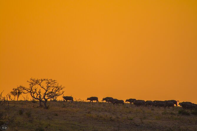 Isimangaliso Sunset Game Drive - Detailed Tour Information