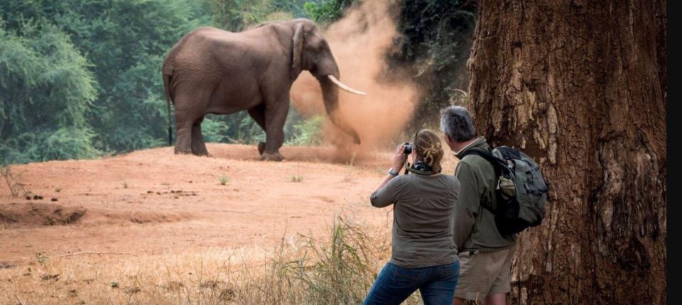 Isimangaliso Wetlands Park Full Day Tour From Durban - Itinerary Highlights