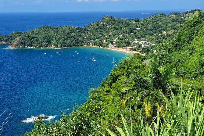 Island Tour (Food and Drinks Include) - Meeting and Pickup