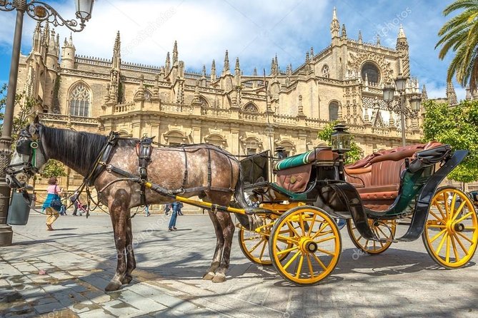 It Is a Company That Offers Complete Solutions in Passenger Transport. - Service Details