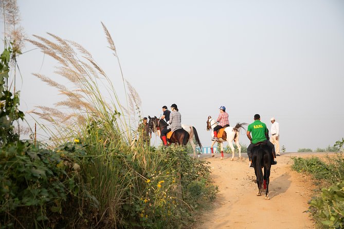 Jaipur Horse Riding Adventure - The Marwari Horse