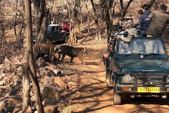 Jaipur to Ranthambore National Park Same Day Tour - Inclusions and Amenities
