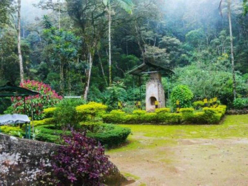 James Taylors Enchanting Tea Story Tour From Kandy - Booking Information