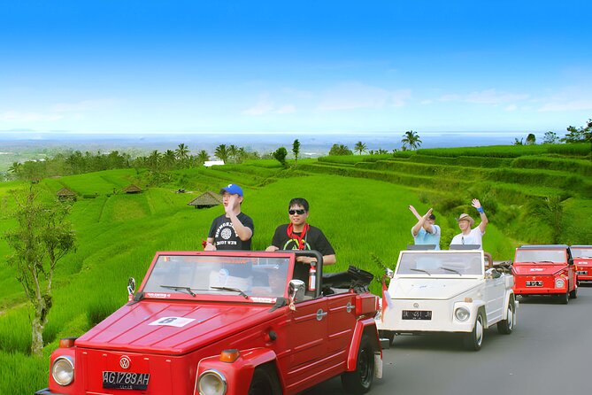 Jatiluwih VW Safari Bali Tour - Volkswagen Classic Car Trip - Tour Inclusions and Benefits