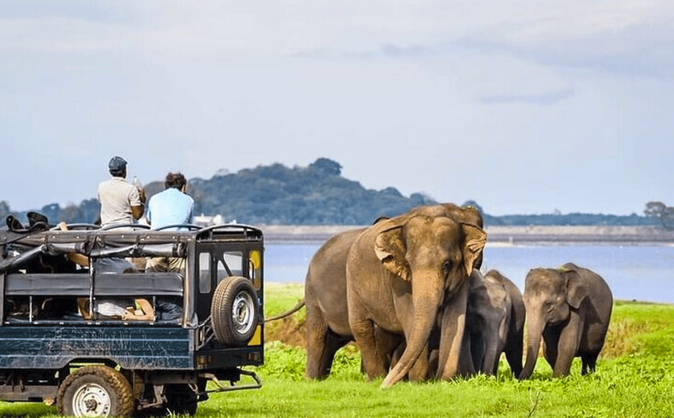 Jeep Safari to Udawalawa National Park From Colombo - Itinerary Details