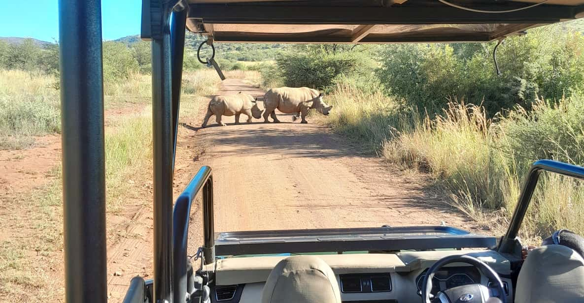 Johannesburg: 3 Hour Pilanesberg National Park Game Drive - Spotting the Big 5 Wildlife