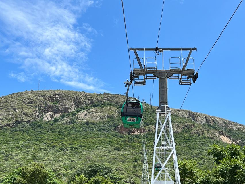 Johannesburg: Wine Tasting and Cableway Half Day Tour - Itinerary Details