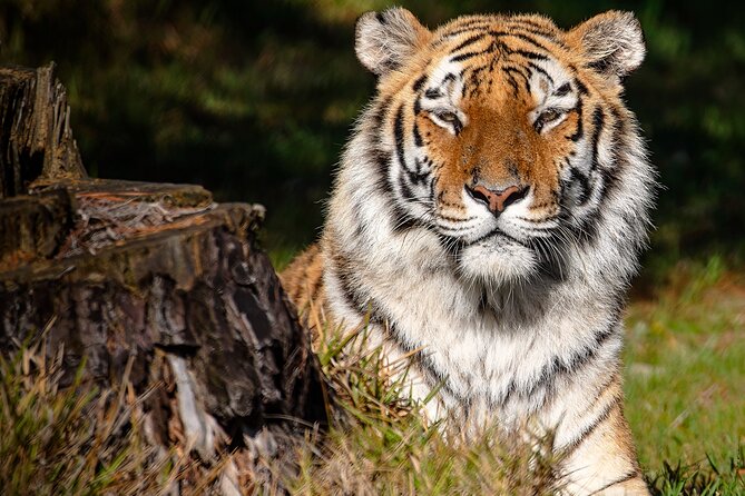 Jukani Wildlife Sanctuary Admission With Guided Tour - Tour Highlights