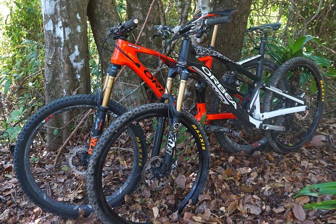 Jungle Mountain Bike Adventures - Guided Tour Experience