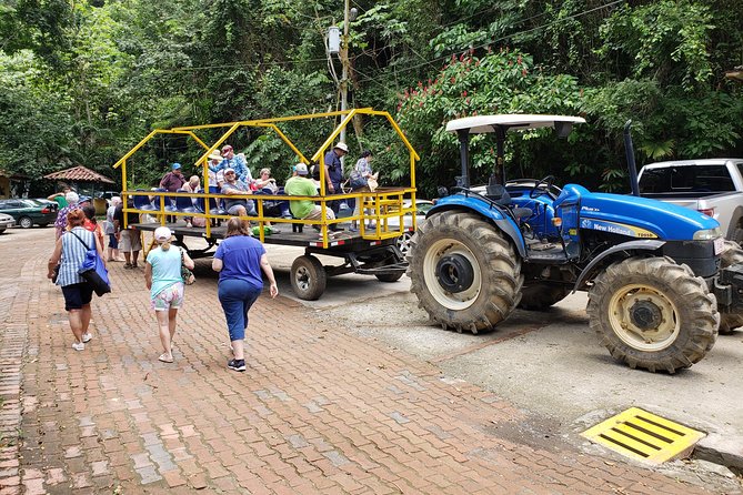 Jungle & River Wagon Expedition. Puntarenas Shore Excursions - Itinerary and Activities