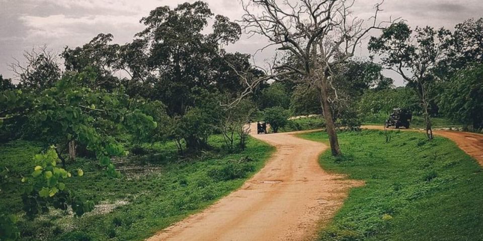 Jungle Trekking in Yala Buffer Zone From Hambantota Harbor - Booking Details