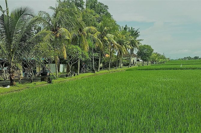 Kaba Kaba Reason for Harmony Cycling - Itinerary Highlights