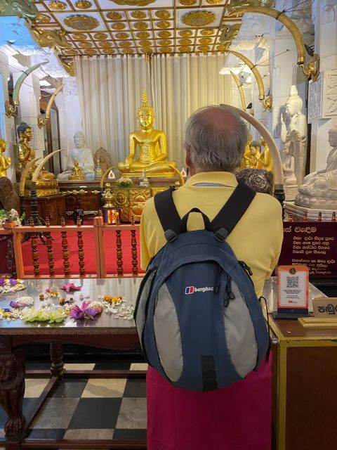 Kandy City Tour With Micheal by Tuk Tuk - Itinerary Highlights