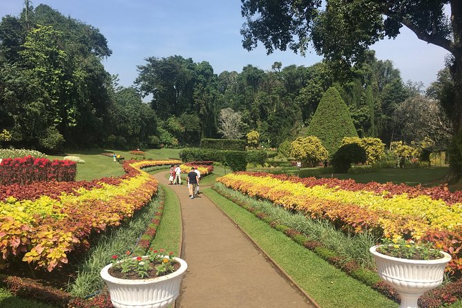 Kandy Private Day Tour - Transportation Details