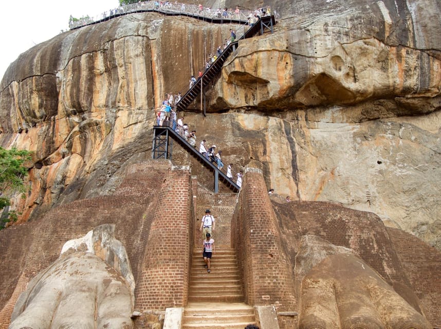 Kandy: Sigiriya, Dambulla,Minneriya National Park Day Tour - Itinerary Highlights