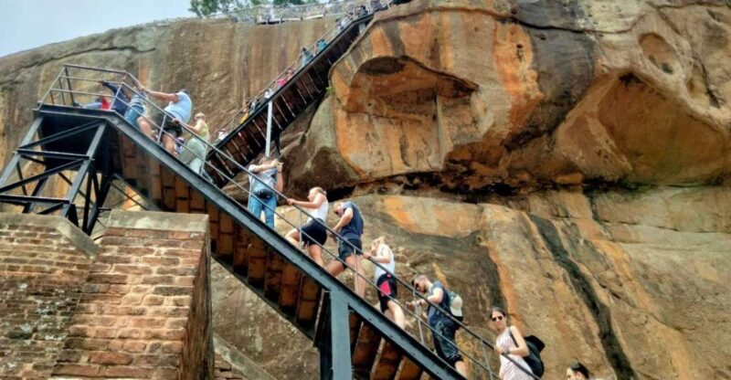 Kandy: Sigiriya Rock Dambulla and Minneriya National Park - Itinerary Highlights