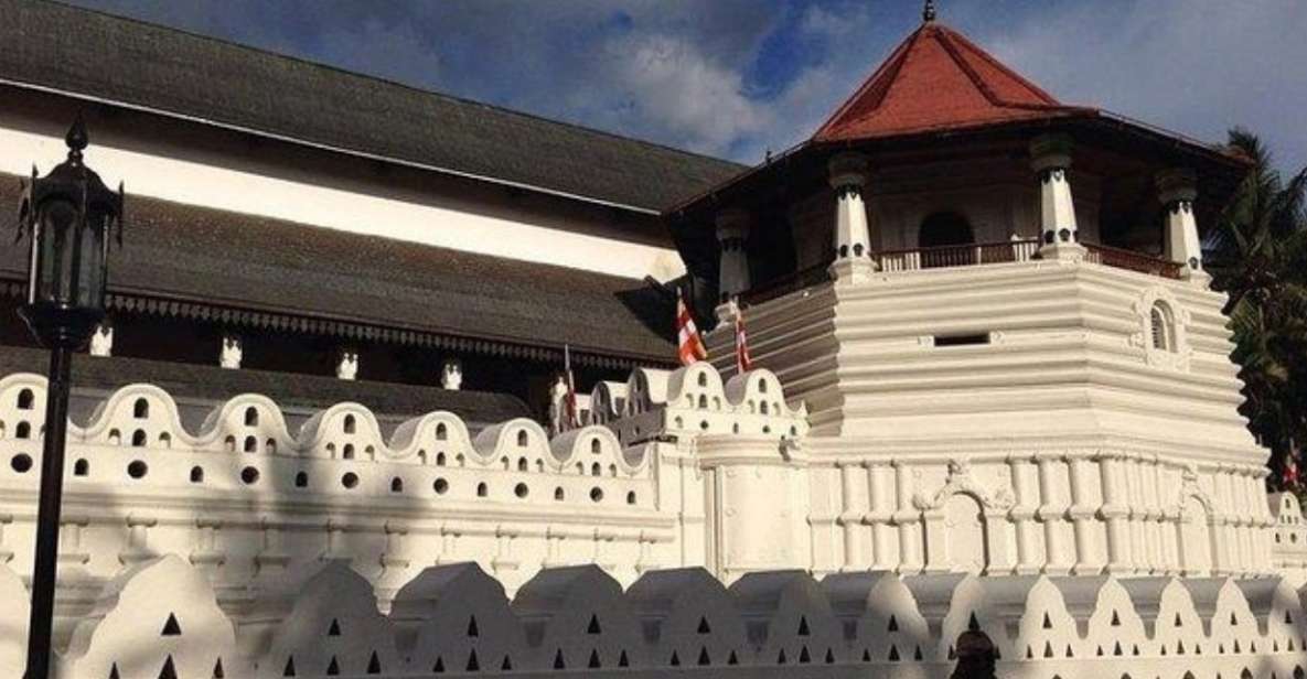 Kandy: the Last Kingdom Private Day Tour From Colombo Harbor - Itinerary Highlights