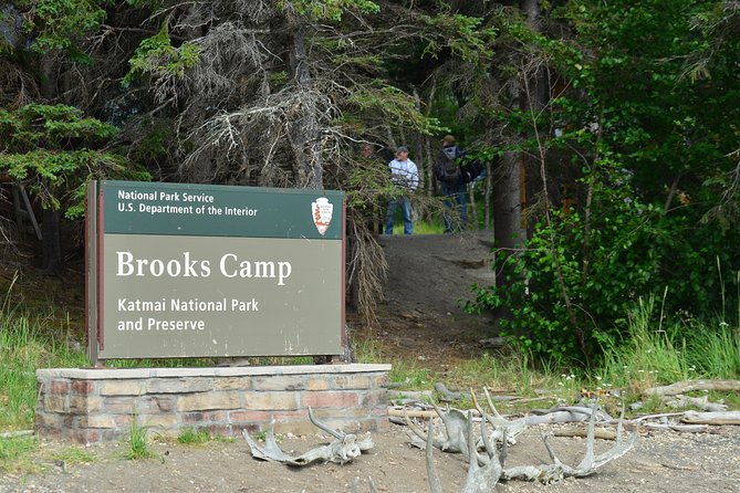 Katmai Brooks Falls Bear Experience - Wildlife Viewing Opportunities