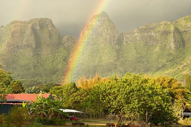 Kauai East Side and North Shore Private Guided Tour - Tour Guide Experience