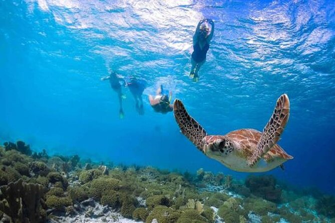 Kauais Ultimate Guided Snorkeling Adventure - Meeting and Pickup Details