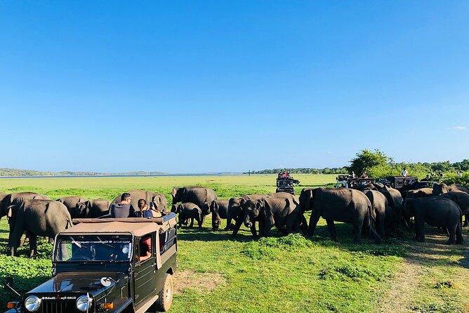 Kaudulla National Park Half Day Private Safari in Sri Lanka - Duration and Itinerary