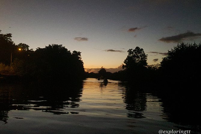 Kayak Adventure in the Second Largest Swamp of Trinidad and Tobago - Accessibility and Health Considerations